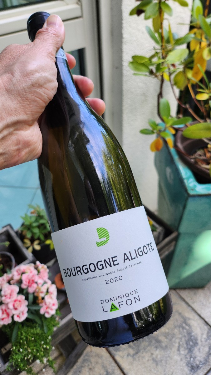 2020 Dominique Lafon Bourgogne Aligoté